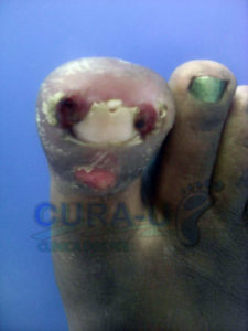 Figura 6