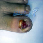 primeira-foto-(1)
